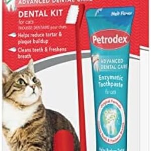 Petrodex Dental Care Kit for Cats, Cat Toothbrush and...