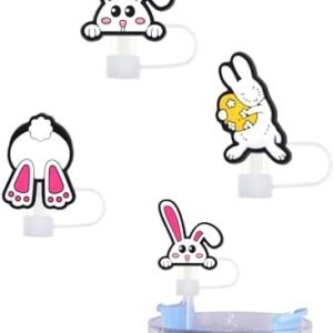 Cute Straw Covers Suitable Stanley Tumbler,3 PCS...
