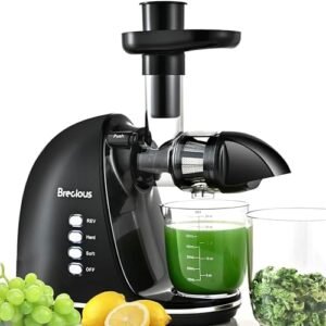 Slow Masticating Juicer, Brecious Cold Press Juicers with 2 Speed Modes & Quiet Motor, Juicers Machines Vegetable and Fruit with Reverse Function, Celery Juicer, BPA-Free, Easy to Clean