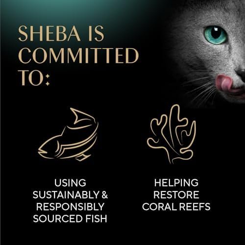 22% OFF : Sheba Perfect Portions Wet Cat Food Cuts in Gravy Variety Pack, Roasted Chicken Entree, with Sustainable Salmon, and Tender Turkey Entree, 2.6 oz. Twin-Pack Trays (24 Count, 48 Servings) - Image 7