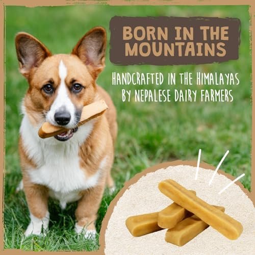 15% OFF: Mighty Paw Yak Cheese Dog Chews – All-Natural Long Lasting Hard Chew for Aggressive Chewers – High Protein, Odor-Free Dog Treat – 3 Ingredient Natural Yak Chews for Large Dogs – (4 Pack) - Image 7