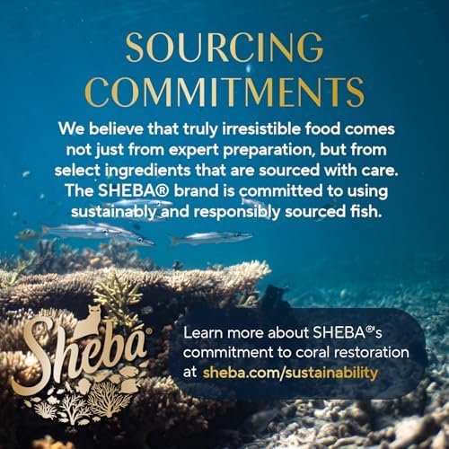 22% OFF : Sheba Perfect Portions Wet Cat Food Cuts in Gravy Variety Pack, Roasted Chicken Entree, with Sustainable Salmon, and Tender Turkey Entree, 2.6 oz. Twin-Pack Trays (24 Count, 48 Servings) - Image 12