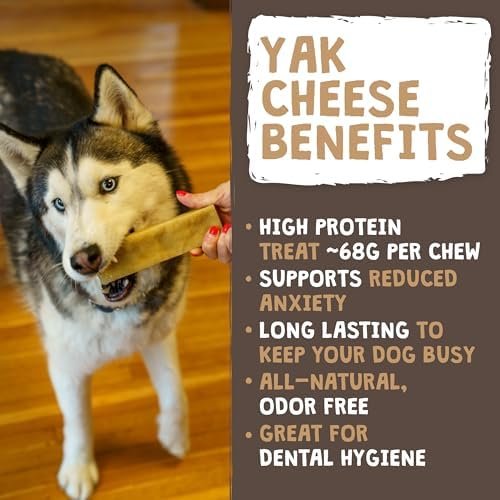 15% OFF: Mighty Paw Yak Cheese Dog Chews – All-Natural Long Lasting Hard Chew for Aggressive Chewers – High Protein, Odor-Free Dog Treat – 3 Ingredient Natural Yak Chews for Large Dogs – (4 Pack) - Image 2