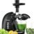 Slow Masticating Juicer, Brecious Cold Press Juicers with 2 Speed Modes & Quiet Motor, Juicers Machines Vegetable and Fruit with Reverse Function, Celery Juicer, BPA-Free, Easy to Clean