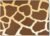 Laptop Skin Compatible with HP Envy x360 16” (2023) – Giraffe – Premium 3M Vinyl Protective Wrap Decal Cover – Easy to Apply | Crafted in The USA by MightySkins